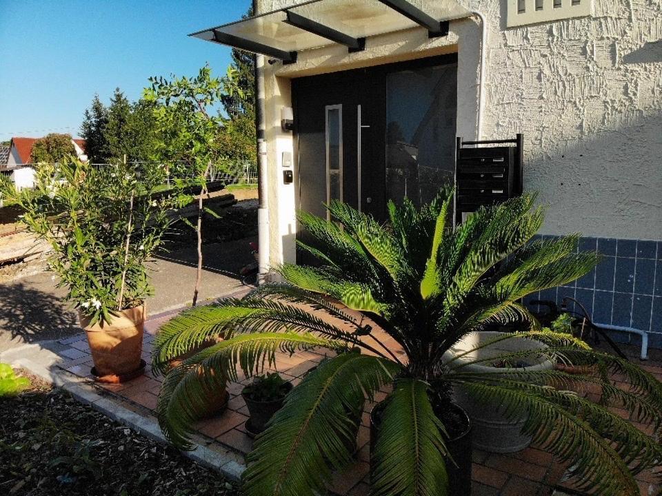 Sonnige 3 Zimmer Wohnung Mit Schoenem Balkon Im Gruenen Reutlingen Eksteriør billede